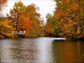 pic_lake_trees